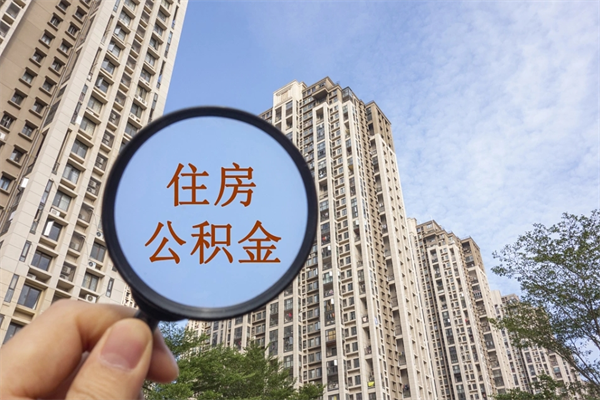 东莞离职多久可以取住房公积金(离职多久后能取公积金) 东莞离职多久可以取住房公积金(离职多久后能取公积金)
